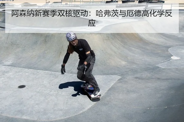 a-sen-na-xin-sai-ji-shuang-he-qu-dong-ha-fu-ci-yu-e-de-gao-hua-xue-fan-ying-2-815.jpg